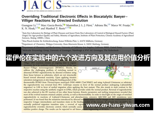 霍伊伦在实践中的六个改进方向及其应用价值分析